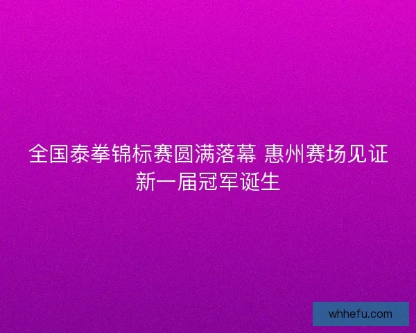 全国泰拳锦标赛圆满落幕 惠州赛场见证新一届冠军诞生