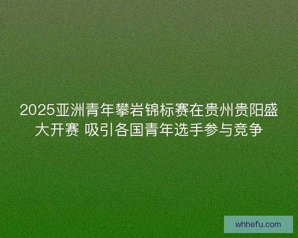 2025亚洲青年攀岩锦标赛在贵州贵阳盛大开赛 吸引各国青年选手参与竞争