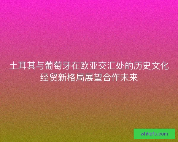 土耳其与葡萄牙在欧亚交汇处的历史文化经贸新格局展望合作未来