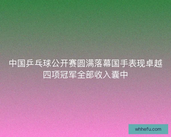 中国乒乓球公开赛圆满落幕国手表现卓越四项冠军全部收入囊中